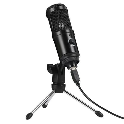Digital Computer Portable Recording Mic