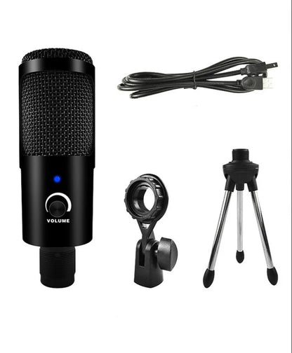 Digital Computer Portable Recording Mic
